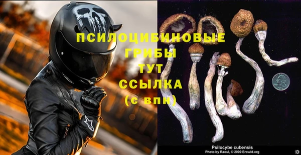 мет Аркадак