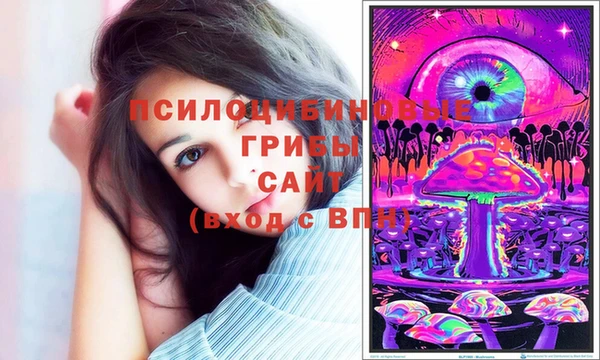 ГАЛЛЮЦИНОГЕННЫЕ ГРИБЫ Армянск